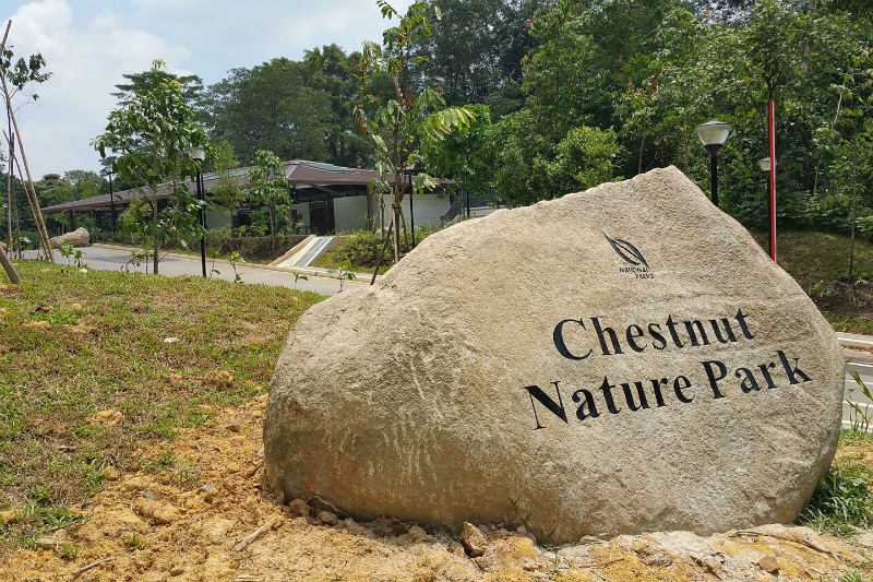 NParks Chestnut Nature Park